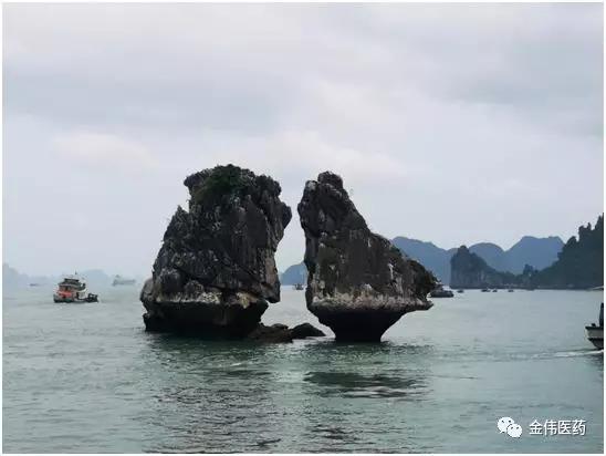 “感恩有你，一路同行”泸州金伟2019快乐之旅